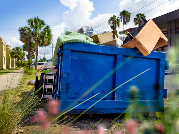 Yard Cleanup Services in Plover, WI